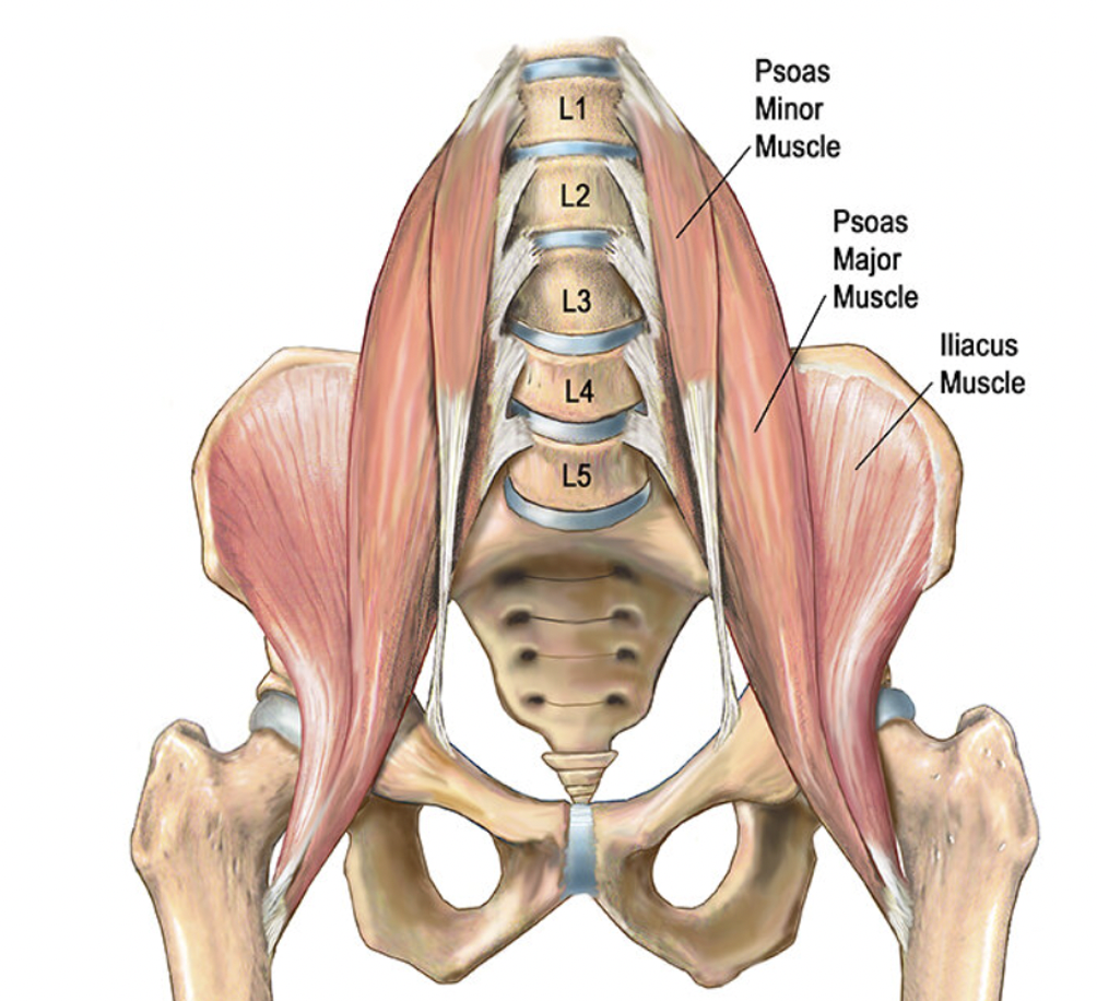 Hip Flexor Pain or Iliopsoas Related Groin Pain